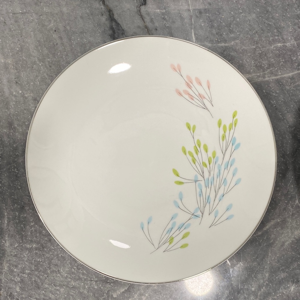 Chic Floral Dinner Plate w/ Silver Rim. Vintage Vita Craft “Symphony” Fine China